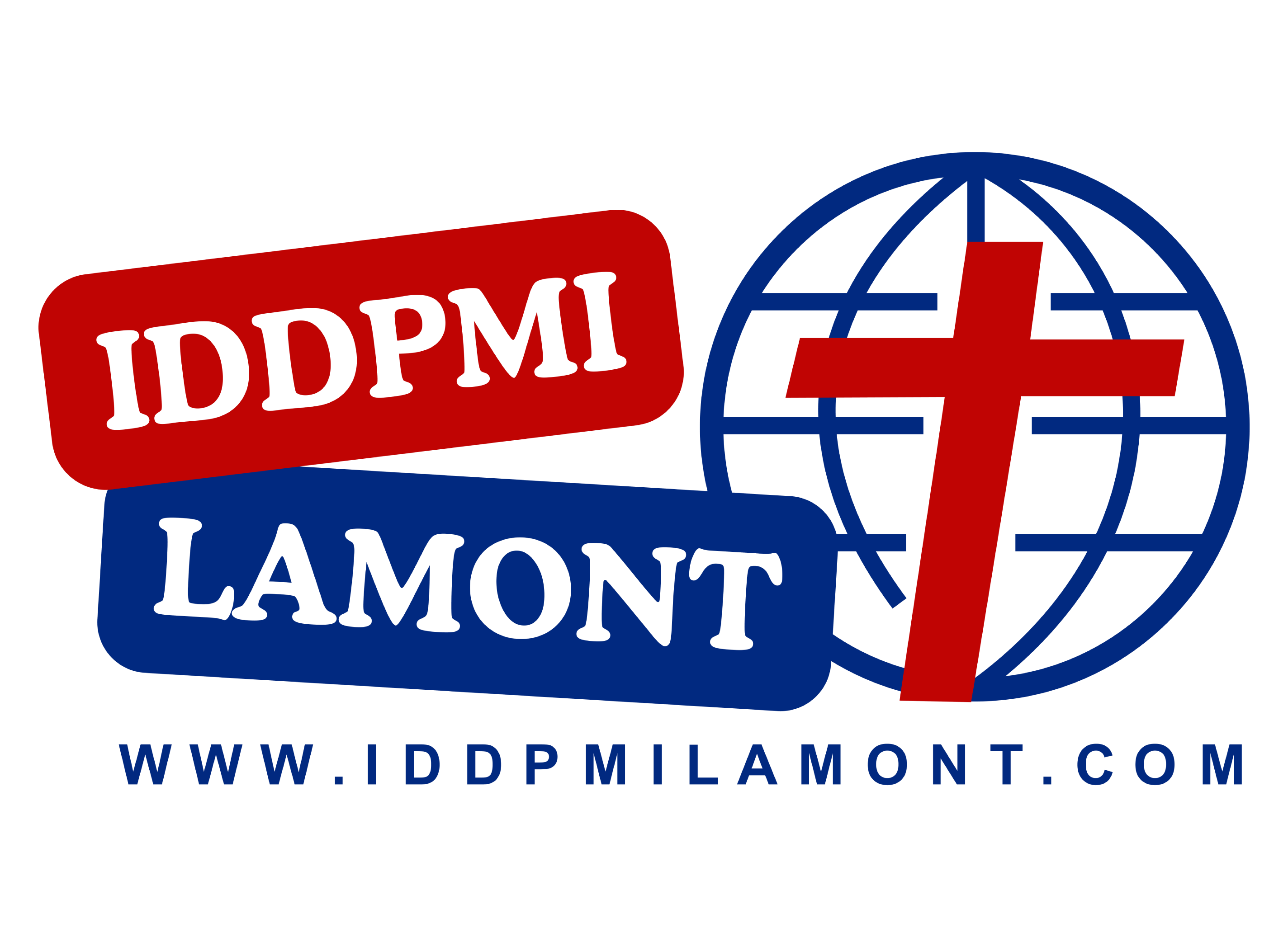 IDDPMI logo-01-1
